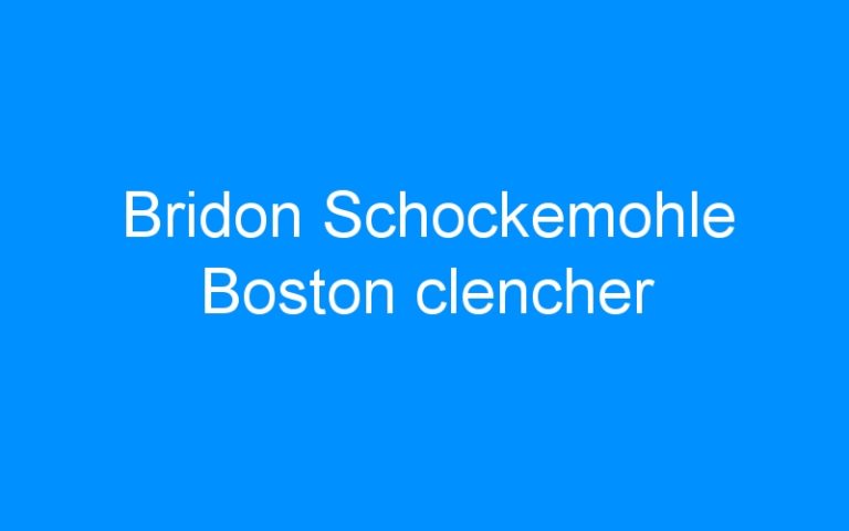 Lire la suite à propos de l’article Bridon Schockemohle Boston clencher