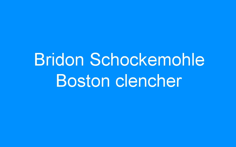 You are currently viewing Bridon Schockemohle Boston clencher