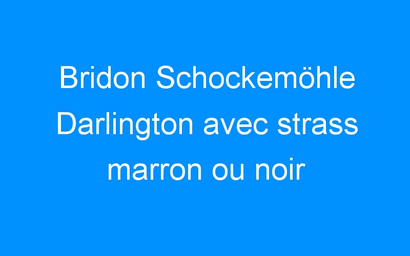 You are currently viewing Bridon Schockemöhle Darlington avec strass marron ou noir