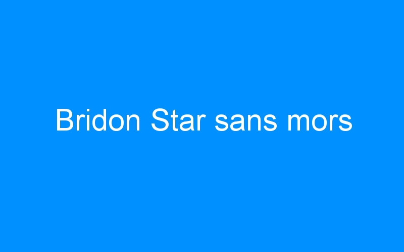 You are currently viewing Bridon Star sans mors
