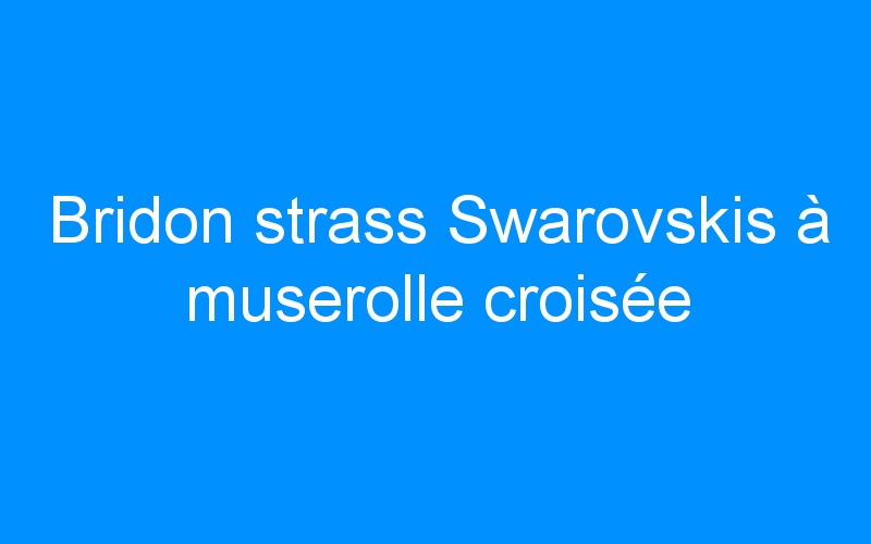 You are currently viewing Bridon strass Swarovskis à muserolle croisée