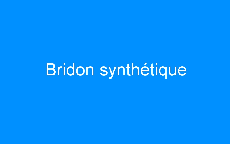 Bridon synthétique