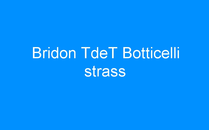 You are currently viewing Bridon TdeT Botticelli strass