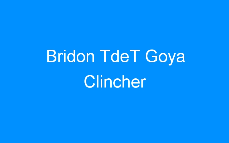 You are currently viewing Bridon TdeT Goya Clincher