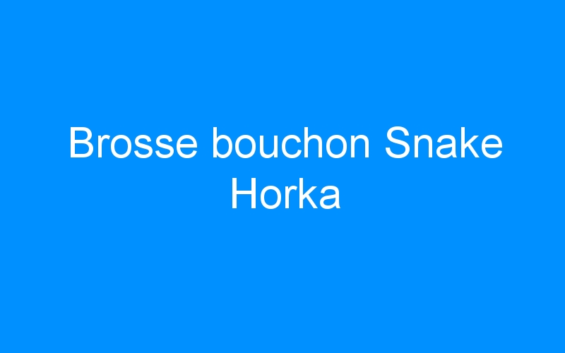 You are currently viewing Brosse bouchon Snake Horka