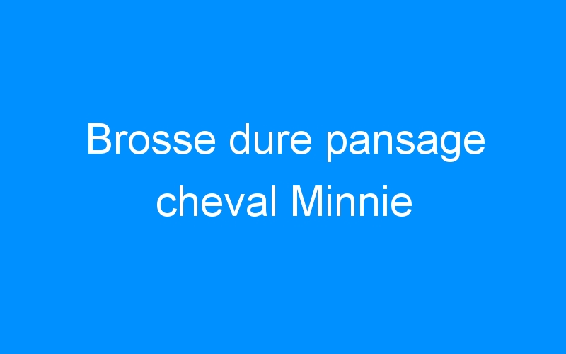 You are currently viewing Brosse dure pansage cheval Minnie