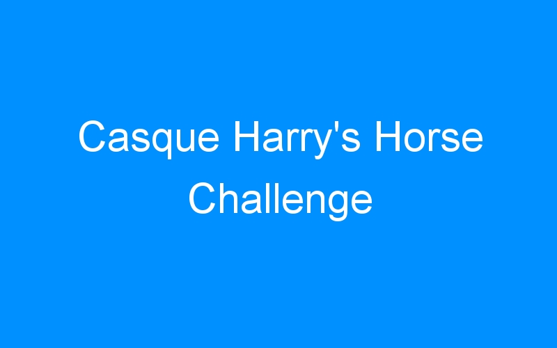 You are currently viewing Casque Harry’s Horse Challenge