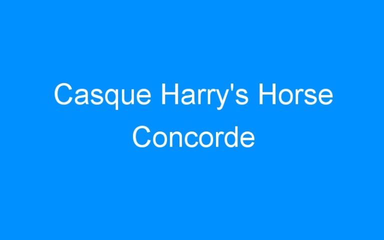 Lire la suite à propos de l’article Casque Harry’s Horse Concorde