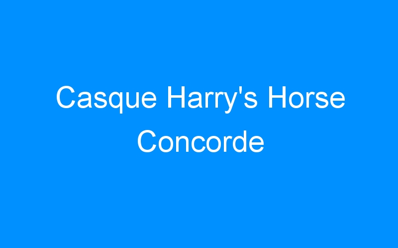 You are currently viewing Casque Harry’s Horse Concorde