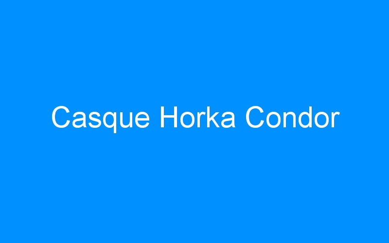 You are currently viewing Casque Horka Condor