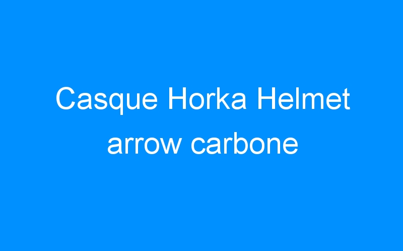You are currently viewing Casque Horka Helmet arrow carbone