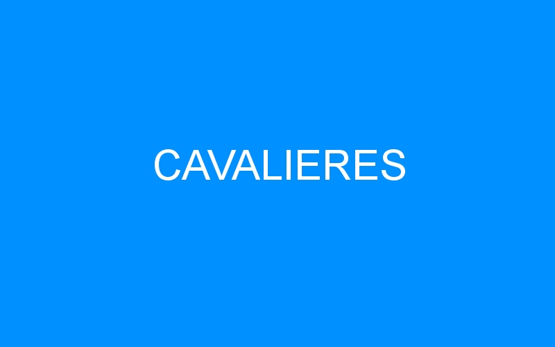 You are currently viewing CAVALIERES