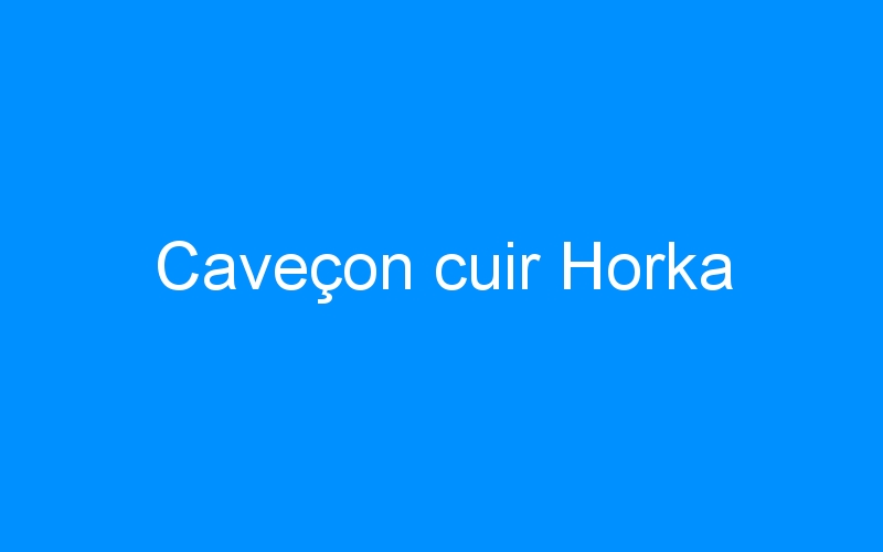 You are currently viewing Caveçon cuir Horka