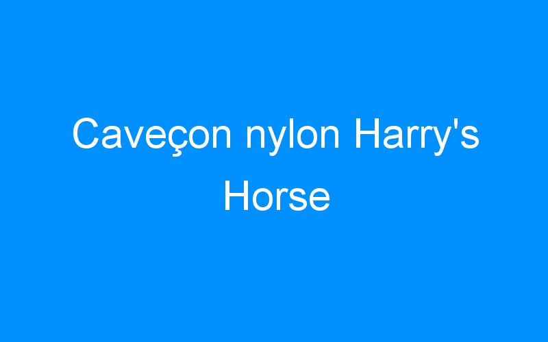 You are currently viewing Caveçon nylon Harry’s Horse