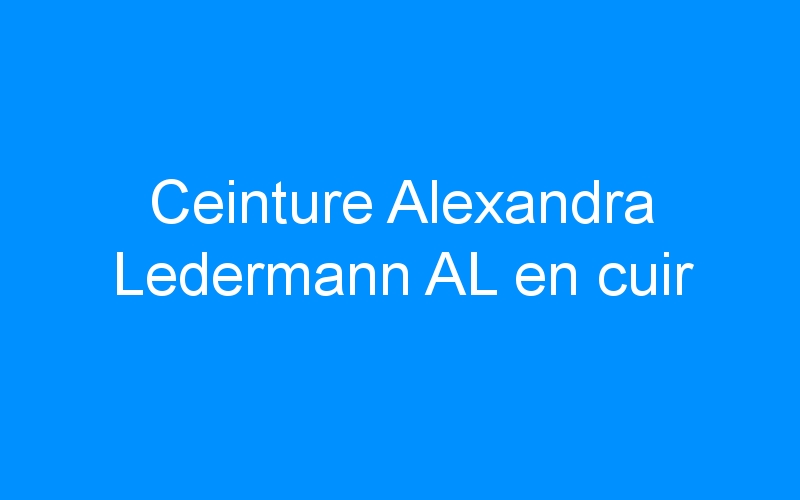 You are currently viewing Ceinture Alexandra Ledermann AL en cuir