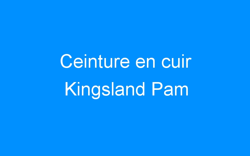 You are currently viewing Ceinture en cuir Kingsland Pam