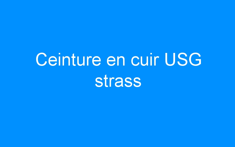 You are currently viewing Ceinture en cuir USG strass