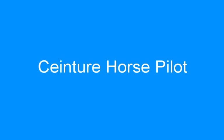 Lire la suite à propos de l’article Ceinture Horse Pilot