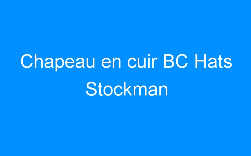 Chapeau en cuir BC Hats Stockman