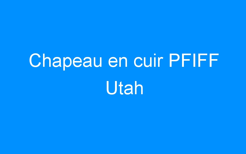 You are currently viewing Chapeau en cuir PFIFF Utah