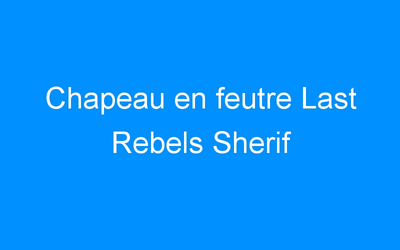 You are currently viewing Chapeau en feutre Last Rebels Sherif
