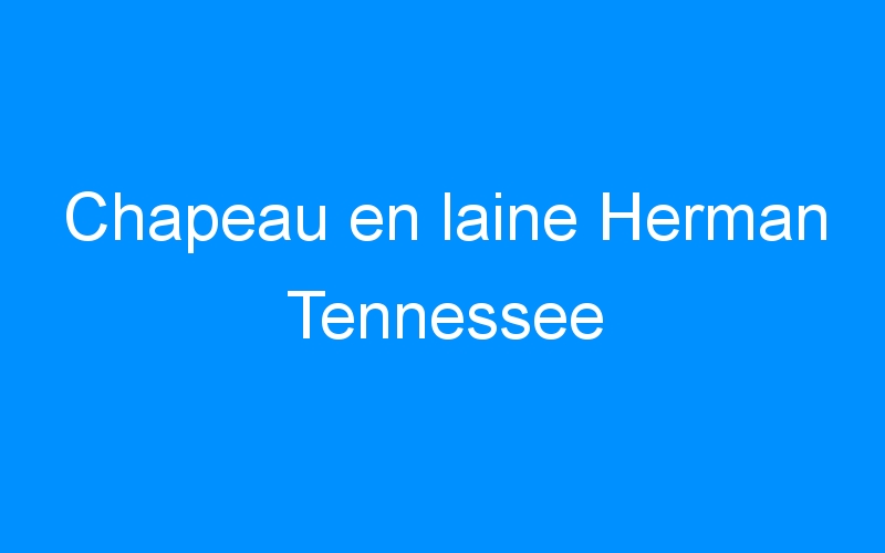 You are currently viewing Chapeau en laine Herman Tennessee