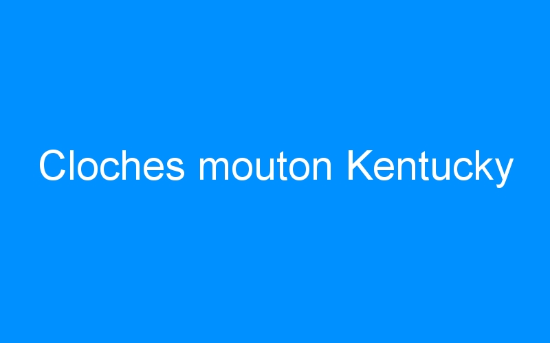 You are currently viewing Cloches mouton Kentucky