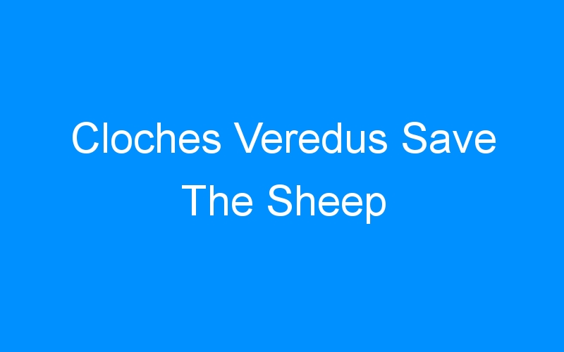 Cloches Veredus Save The Sheep