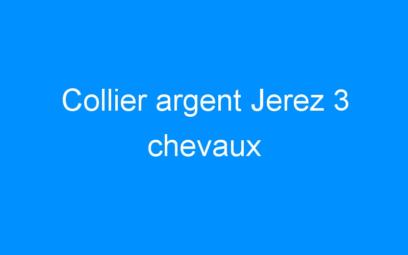 You are currently viewing Collier argent Jerez 3 chevaux