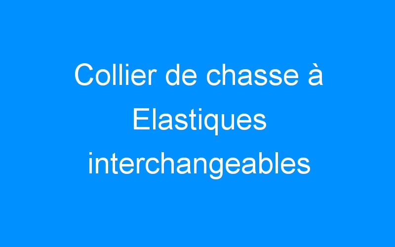 You are currently viewing Collier de chasse à Elastiques interchangeables