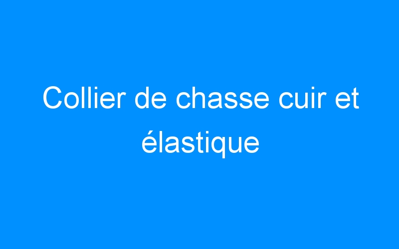 You are currently viewing Collier de chasse cuir et élastique