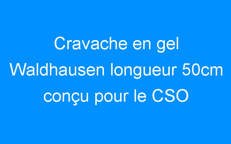 You are currently viewing Cravache en gel Waldhausen longueur 50cm conçu pour le CSO