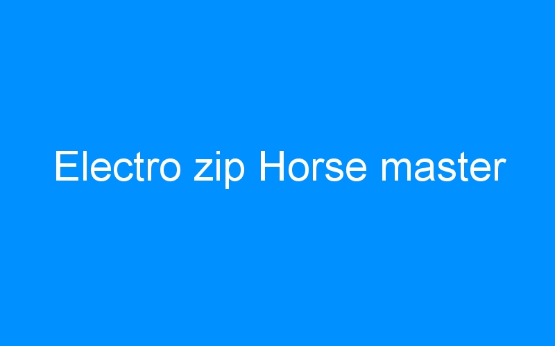 You are currently viewing Electro zip Horse master