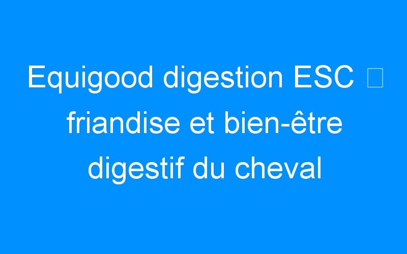 You are currently viewing Equigood digestion ESC ⇒ friandise et bien-être digestif du cheval