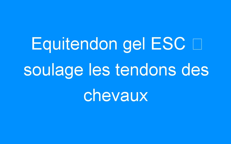You are currently viewing Equitendon gel ESC ⇒ soulage les tendons des chevaux