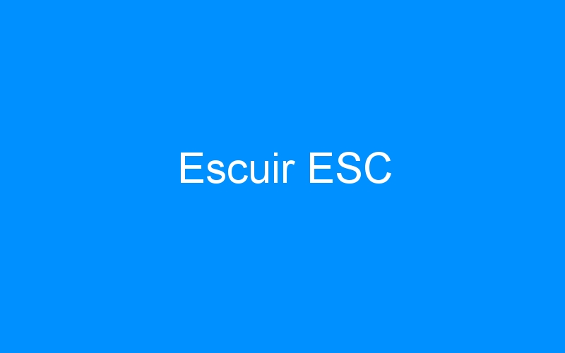 You are currently viewing Escuir ESC