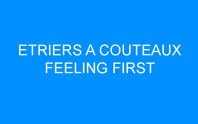 You are currently viewing ETRIERS A COUTEAUX FEELING FIRST