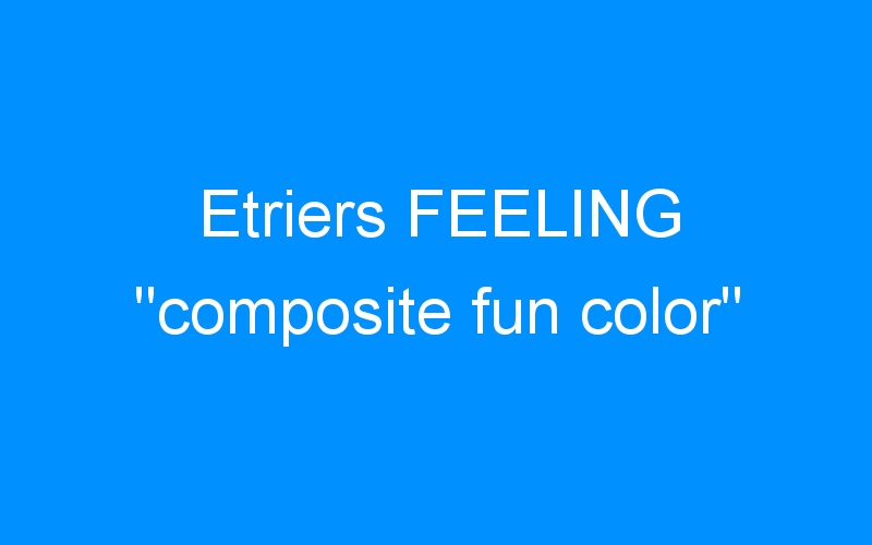 You are currently viewing Etriers FEELING « composite fun color »