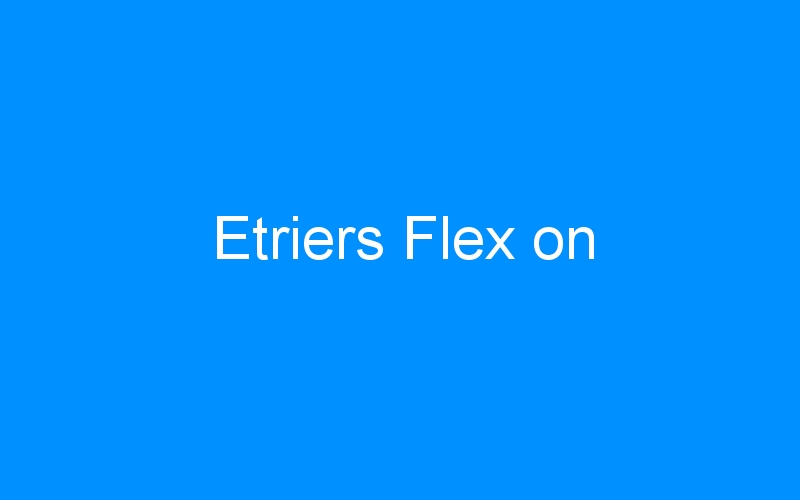 You are currently viewing Etriers Flex on
