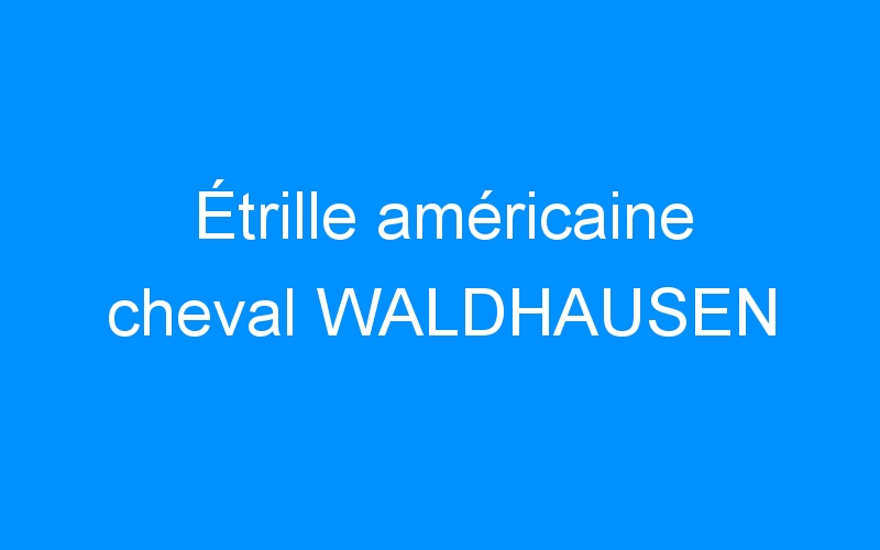 You are currently viewing Étrille américaine cheval WALDHAUSEN