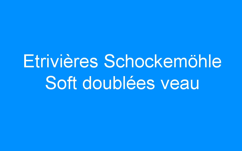 You are currently viewing Etrivières Schockemöhle Soft doublées veau