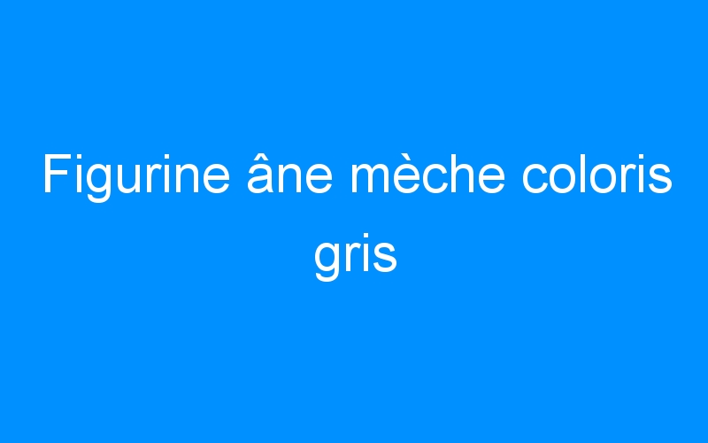 You are currently viewing Figurine âne mèche coloris gris