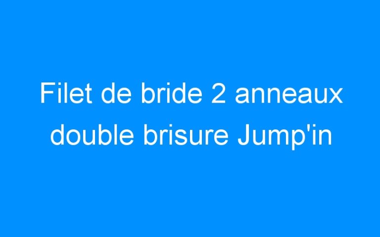 Lire la suite à propos de l’article Filet de bride 2 anneaux double brisure Jump’in
