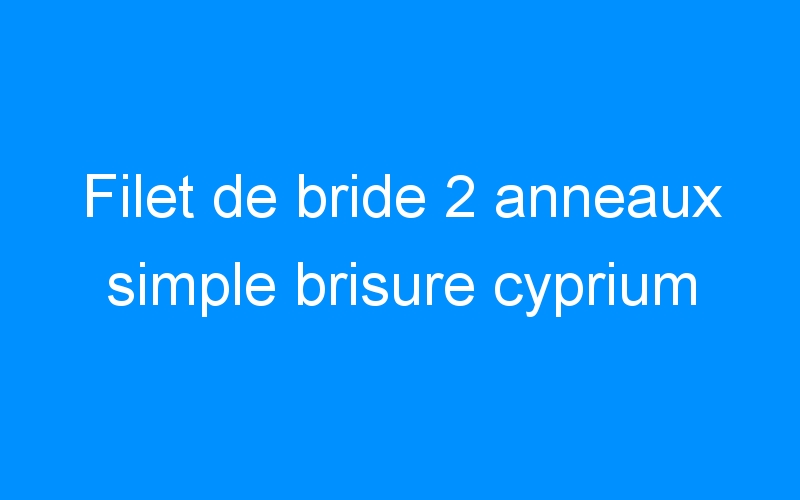 You are currently viewing Filet de bride 2 anneaux simple brisure cyprium