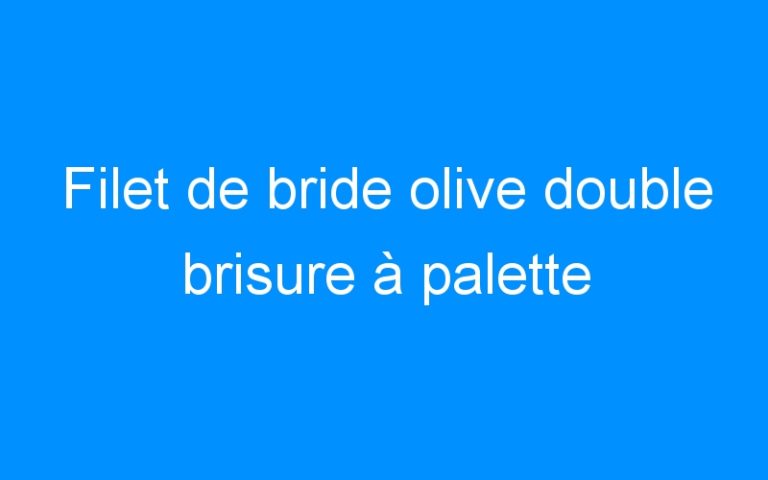 Lire la suite à propos de l’article Filet de bride olive double brisure à palette