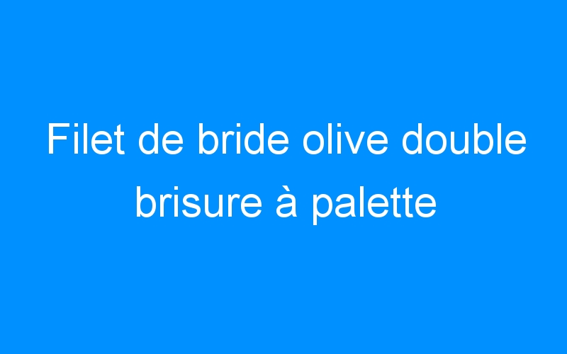 You are currently viewing Filet de bride olive double brisure à palette