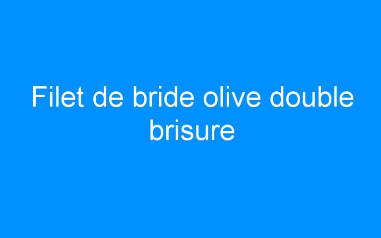 Lire la suite à propos de l’article Filet de bride olive double brisure