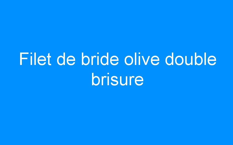 You are currently viewing Filet de bride olive double brisure