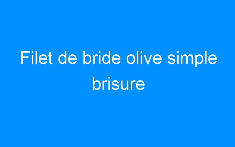 You are currently viewing Filet de bride olive simple brisure