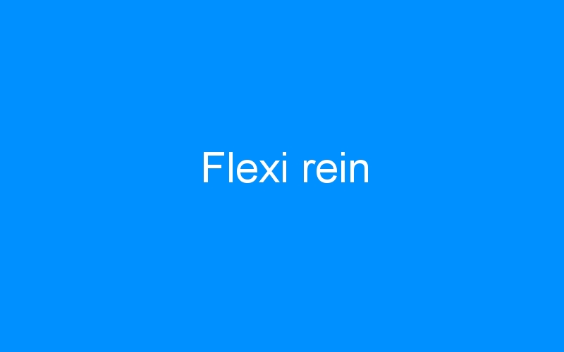 You are currently viewing Flexi rein